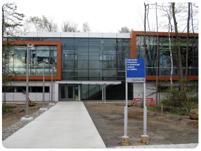 laboratoire de pathologie